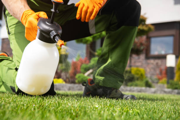 Best Affordable Pest Control Services  in Lusk, WY