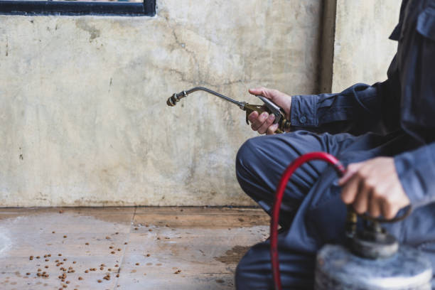 Wasp Removal Services in Lusk, WY